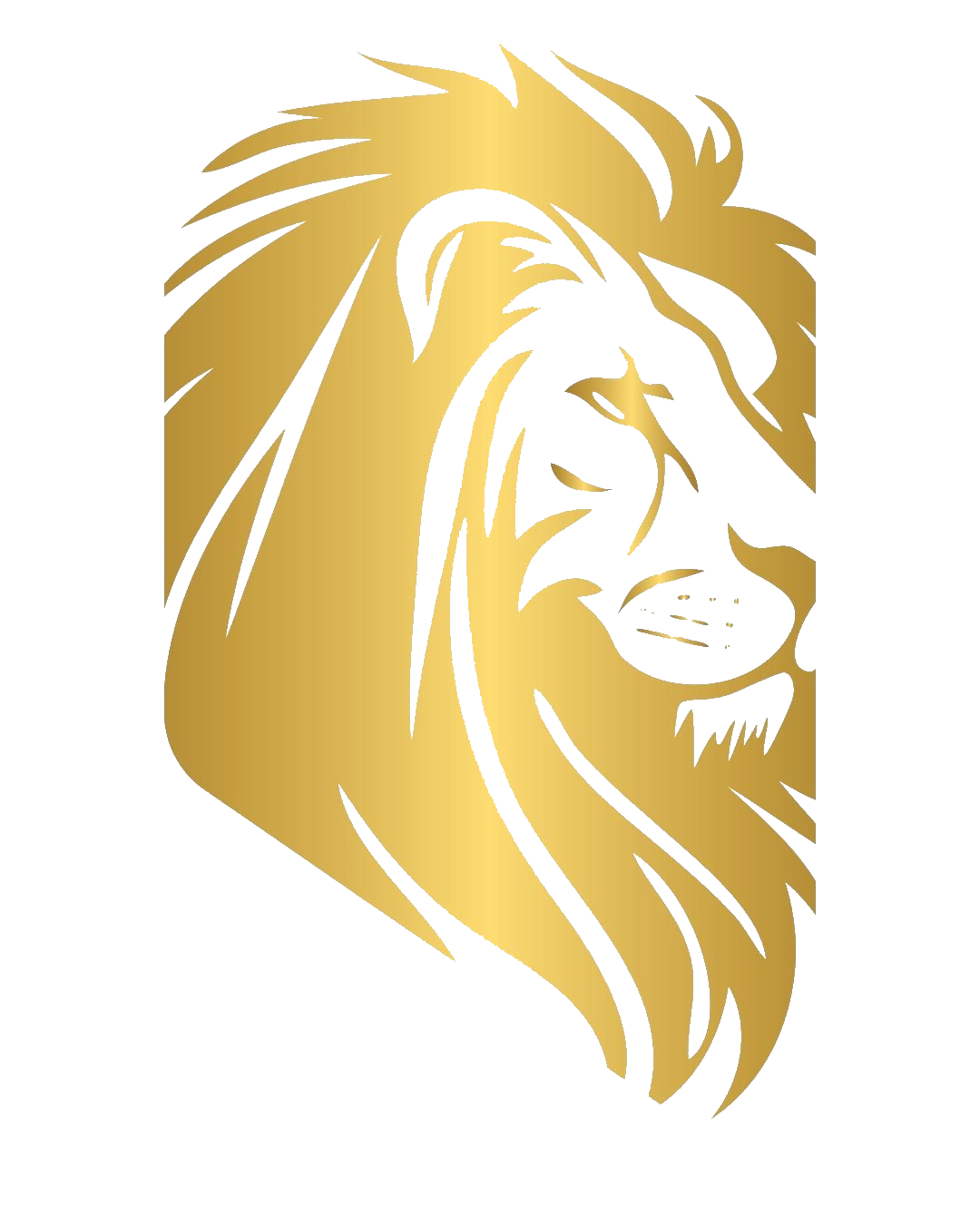 Imagem do WhatsApp de 2025-07-28 à(s) 16.48.54_5713ef97